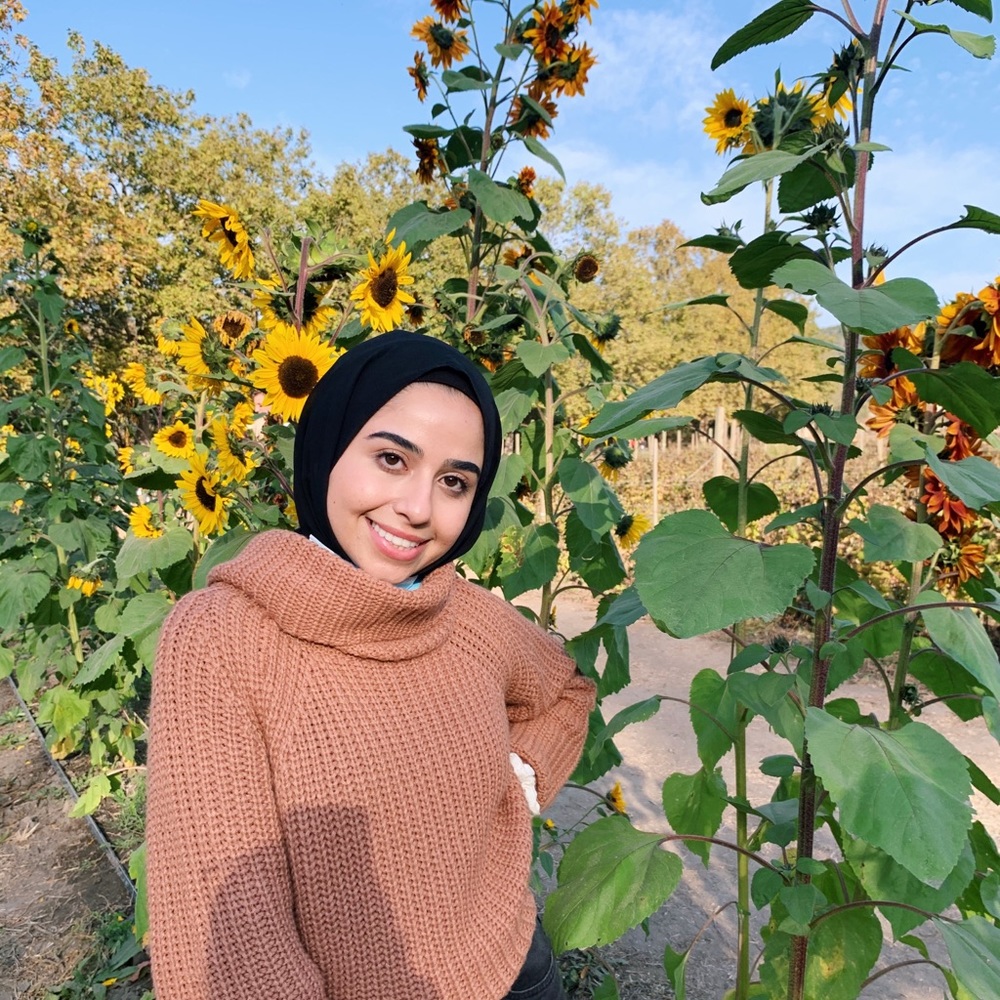 Meet your Posher, Nour